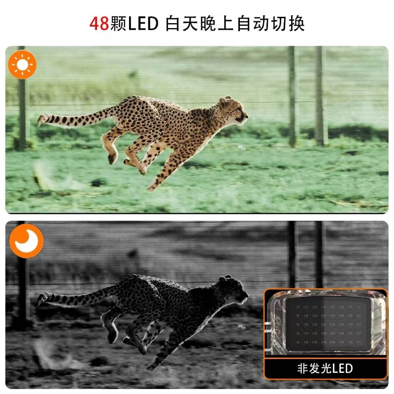 HOT SALE DL001 Hunting Camera  - Hunting Outdoor Camera review and price