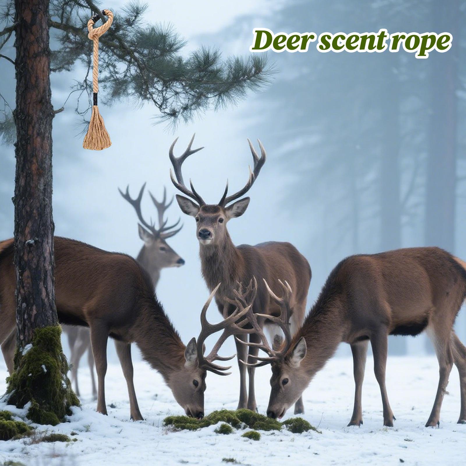 Deer Scent Rope Long-Lasting E - Deer Attractant Scent review and price