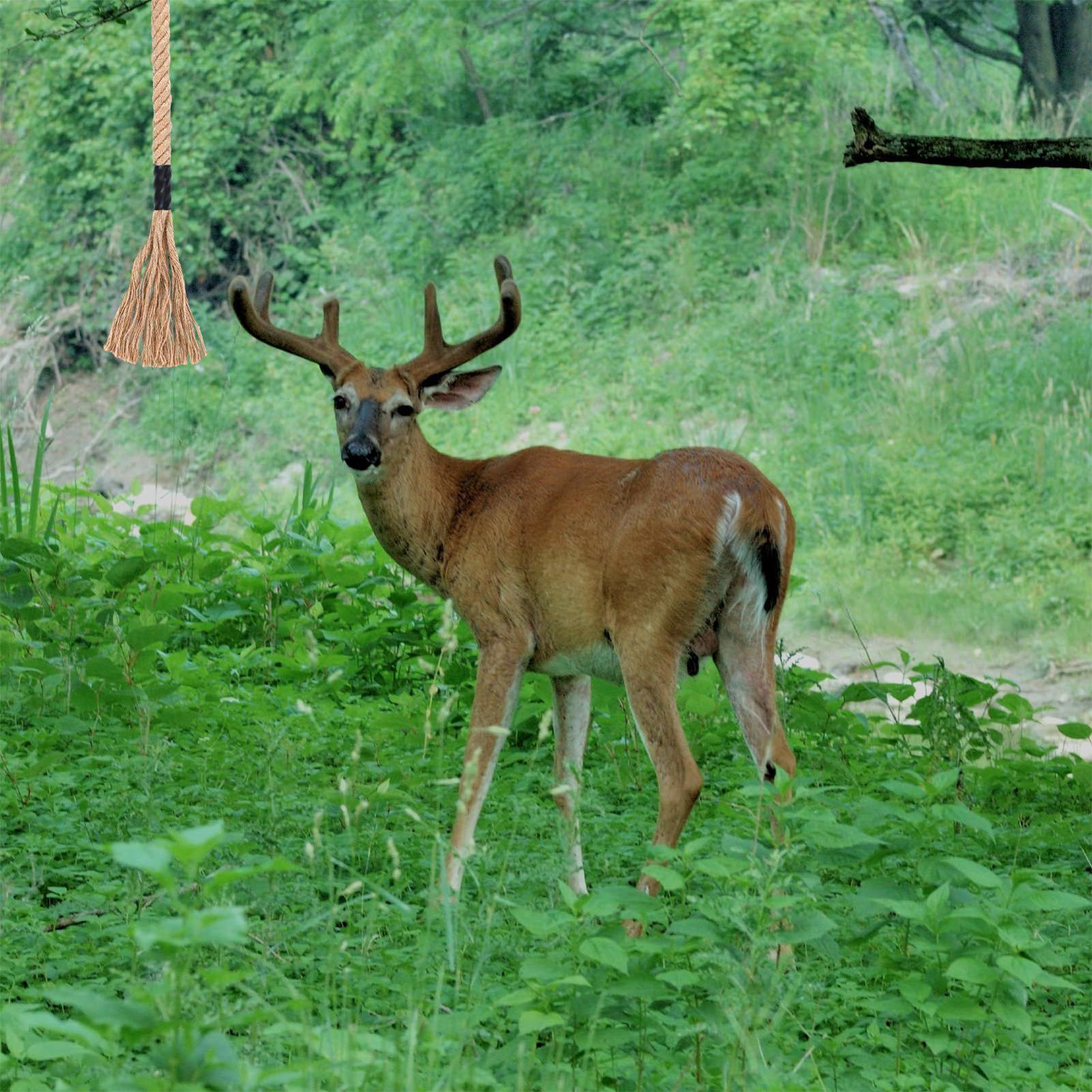 Deer Scent Rope Long-Lasting E - Deer Attractant Scent review and price