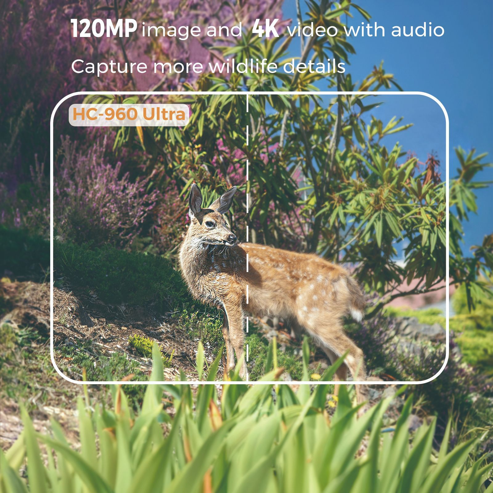 Outdoor 4K Video 120MP Photo 4 - Hunting Outdoor Camera review and price