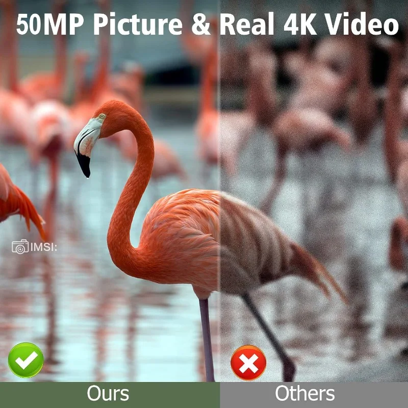 Solar Wildlife 50MP 4K Video T - Outdoor Hunting Videos review and price
