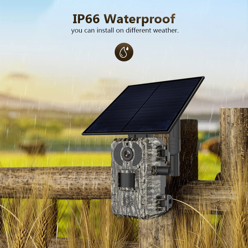 4G 4MP Outdoor Wildlife Huntin - Hunting Outdoor Camera review and price