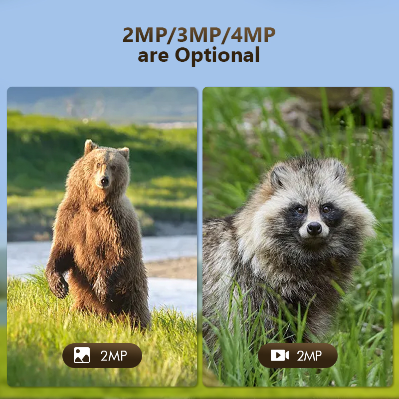 4G 4MP Outdoor Wildlife Huntin - Hunting Outdoor Camera review and price