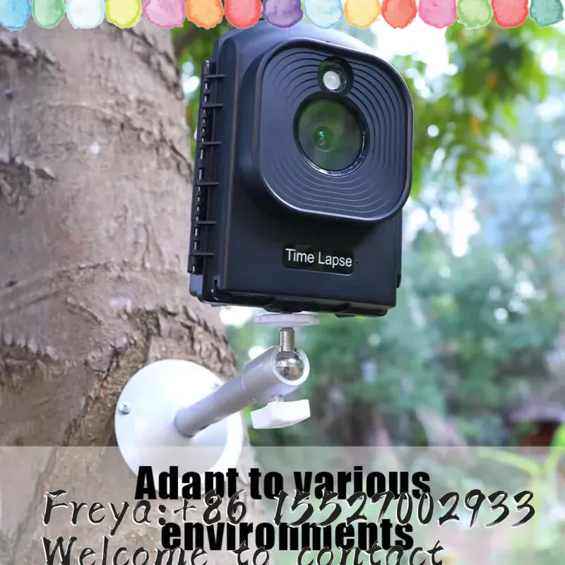 Outdoor Time Lapse 1080P HD Vi - Outdoor Hunting Videos review and price
